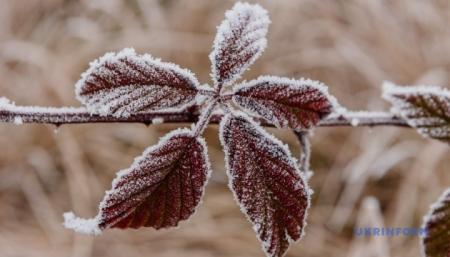 630_360_1579451488-153_27.09.25