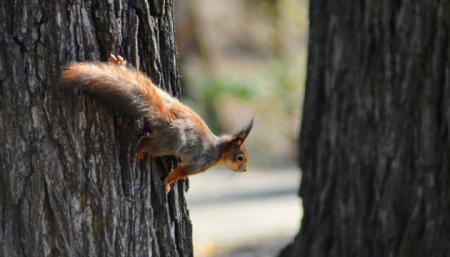 630_360_1584648051-640_08.03.25