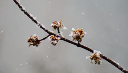 В Україні 5 березня подекуди сніг з дощем, на півдні до +10°