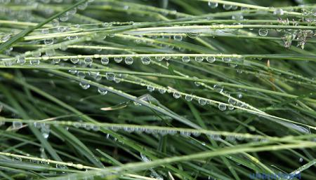 Україні у неділю прогнозують короткочасні дощі, вдень - до 29° тепла