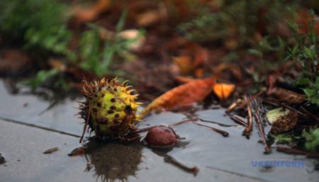 630_360_1602234493-244