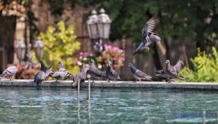 630_360_1720886586-171_08.06.25