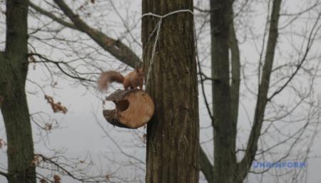 В Україні у неділю - хмарно, вдень прогріє до 9°