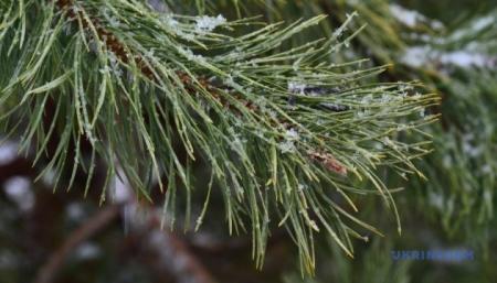 630_360_1739789602-965_02.03.25