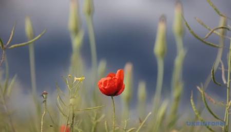 630_360_1748517899-822_07.08.25