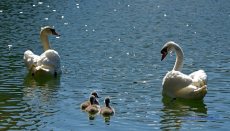 630_360_1748971090-583