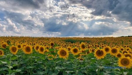 23 липня в Україні до +32°, подекуди короткочасні дощі й грози