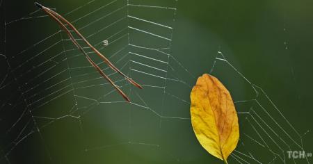 637451a8343137b1679269b675f60ddd_01.09.25