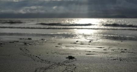 Гороскоп на 26 серпня для всіх знаків зодіаку: день, коли потрібно бути терплячими