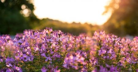 66025d712c8084e4700618aa5deb90a3_04.08.25_1