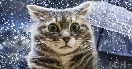 661006c4258152af000a327b64b926db_19.07.25