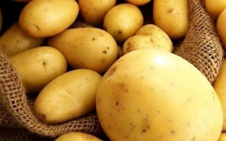 66308bb0b179c6cdbdfde17a3a18fe26_08.03.25_1