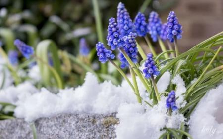 672e97bb817382944c4e897c470452f6_04.03.25_1