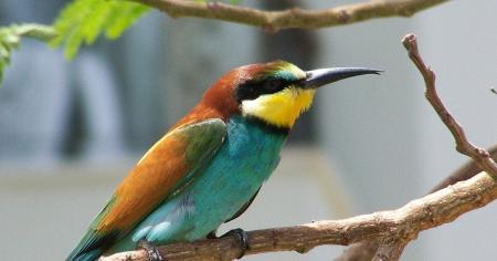 6752da0d67997e7c98fb18f3a75fbe5a_24.09.25