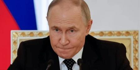 69bb9cf71c0b678532035ca60c665d33_03.08.25_1