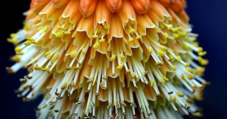 Гороскоп на 26 травня для всіх знаків зодіаку: найнебезпечніший день місячного циклу