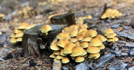 Гороскоп на 3 жовтня для всіх знаків зодіаку: день, коли в нашому житті з'являться люди з минулого