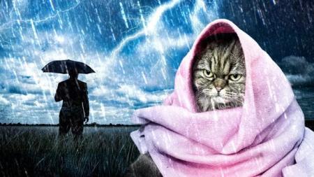 Прогноз погоди на жовтень: скільки разів прийде бабине літо і коли чекати на сніг