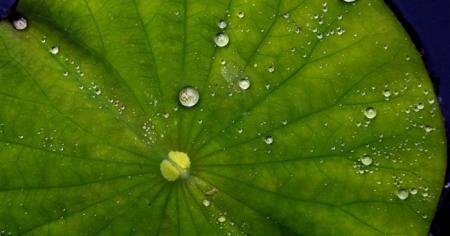 6ea1c66c8a9aa5b770f4b9e1466012b5_28.05.25_1