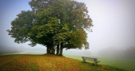 6febc12250eec58a968e614ddb0fd0e9_13.09.25