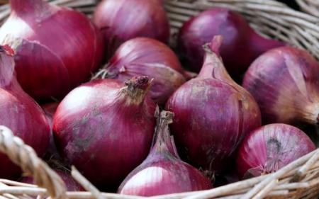 71124253ff35ff54c4ca2547e3e16507_05.03.25_1