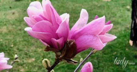 Гороскоп на 21 квітня для всіх знаків зодіаку: день, коли потрібно виявляти максимальну обережність