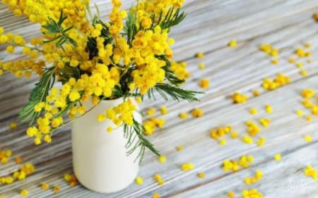 72c805052f022d4fd546ca178e858c56_12.03.25_1