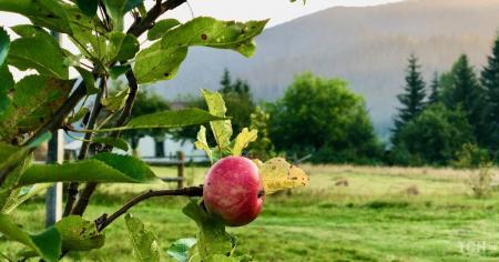 72d544b69b202e7c16675fa6dad5226d_19.08.25