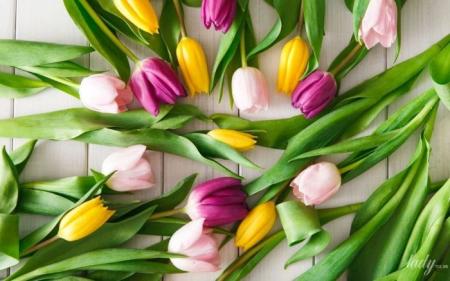 7435383c335e8b5ae47236c94b9d14ac_08.03.25_1