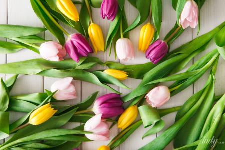 Як зберегти букет: кілька способів подовжити життя тюльпанів