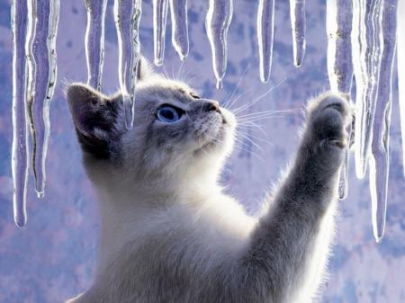 Морози нарешті відступають: прогноз погоди в Україні на 14 січня