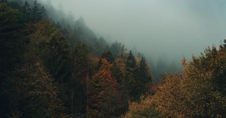 78008c0e77c6b1ecf1c0a786b3d9d5b1_25.09.25