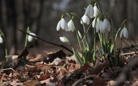 Прогноз погоди на березень: синоптики розповіли, як здивує перший весняний місяць