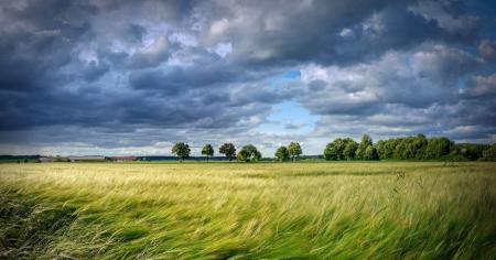 7a906029365db683fea618bdd91a69f8_17.08.25