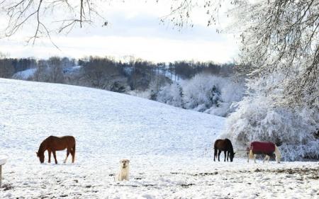 Прогноз на 25 лютого: як зміниться погода по всій Україні