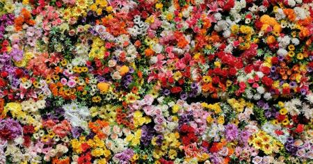 7bed693047a0ebd4576acfe92a877863_12.09.25