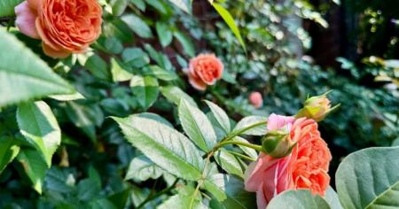 Гороскоп на 12 серпня для всіх знаків зодіаку: день, коли можна знайти відповідь на важливе запитання