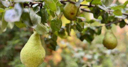 7c2c1e19b5b9e778e68f866f1834322d_16.08.25