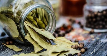 Одна помилка з лавровим листом зіпсує суп: ви навіть не здогадуєтеся яка
