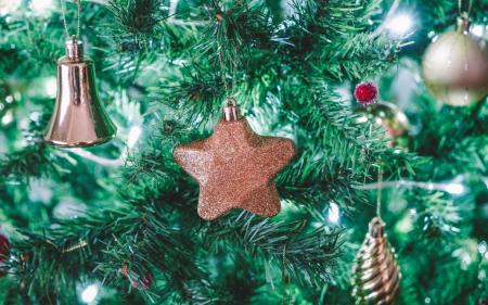 812093292b6ca7dde1227500cd1dc527_30.11.24_1