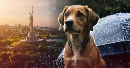 Прогноз погоди на вихідні: коли буде 