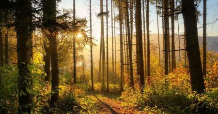 850334e9589c2ebe1a90879e371ae303_15.09.25