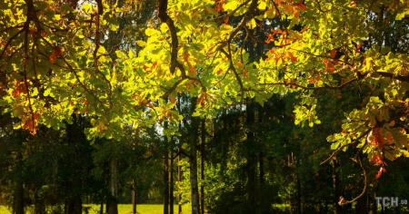 Гороскоп на 11 вересня для всіх знаків зодіаку: день, коли проясниться заплутана ситуація