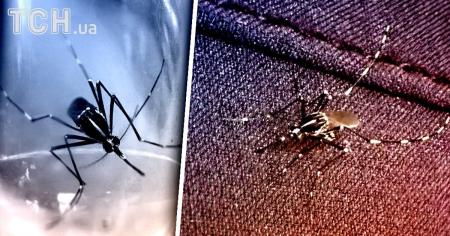 87e02f12efbef62a827deedebf30ec3b_15.08.25