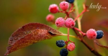 87f334c41b48726f341dea093a4deee4_17.09.25