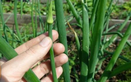 887087edf94f3c8f3a8b3d603cfeb6a5_06.03.25_1