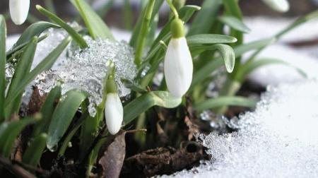 Переважно тепла погода та несуттєві опади: прогноз погоди в Україні на 13 лютого