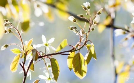 8a818f57764f1be643b564af85d96c2f_11.03.25_1