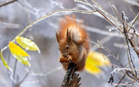 8aff356b0dc3b43821cd43d4cefc58e9_16.12.23