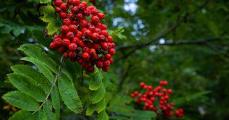 8b729944773d3147eda9a61332f27ed5_09.09.25